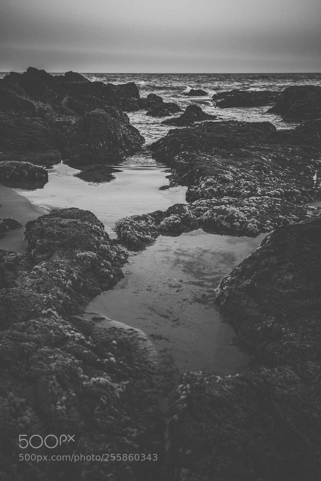 Nikon D800 sample photo. Coolum beach at the photography