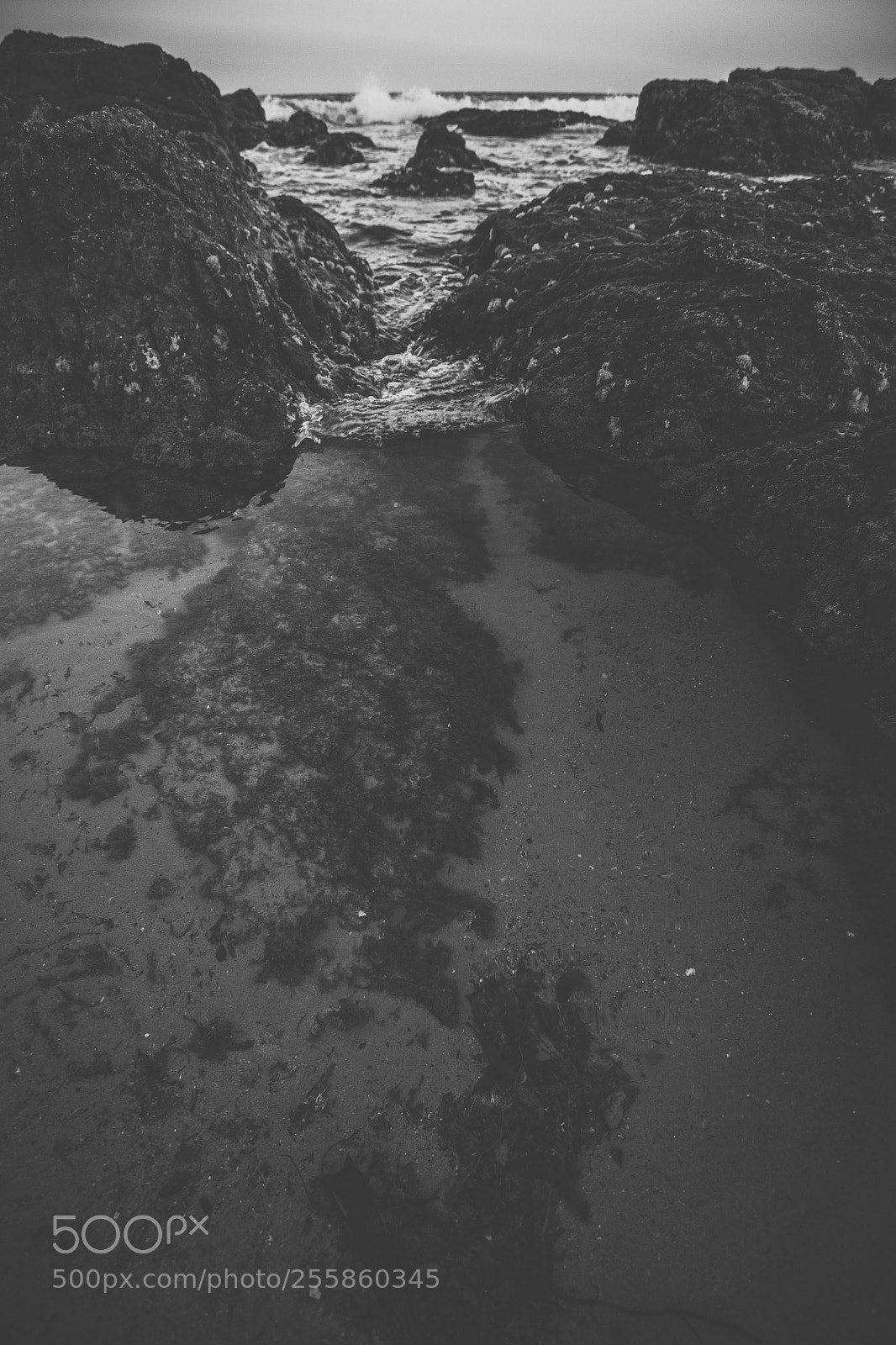Nikon D800 sample photo. Coolum beach at the photography