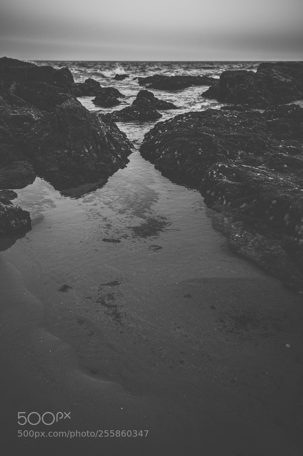 Nikon D800 sample photo. Coolum beach at the photography