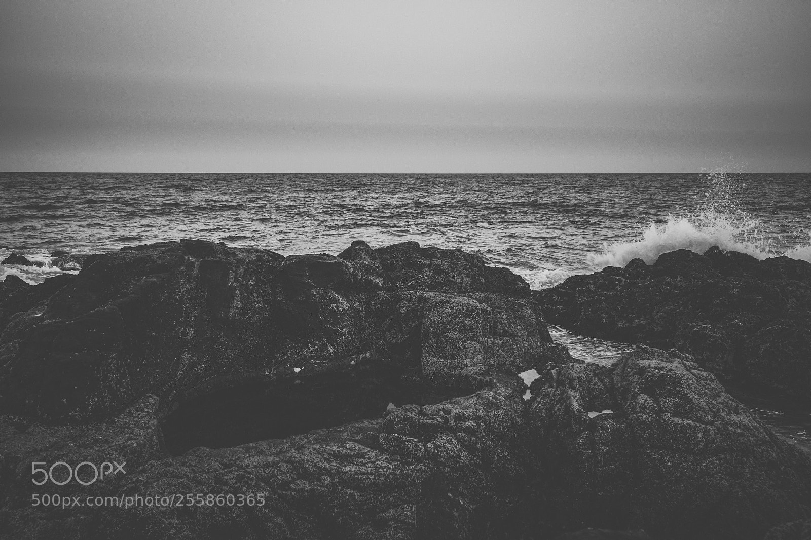 Nikon D800 sample photo. Coolum beach at the photography