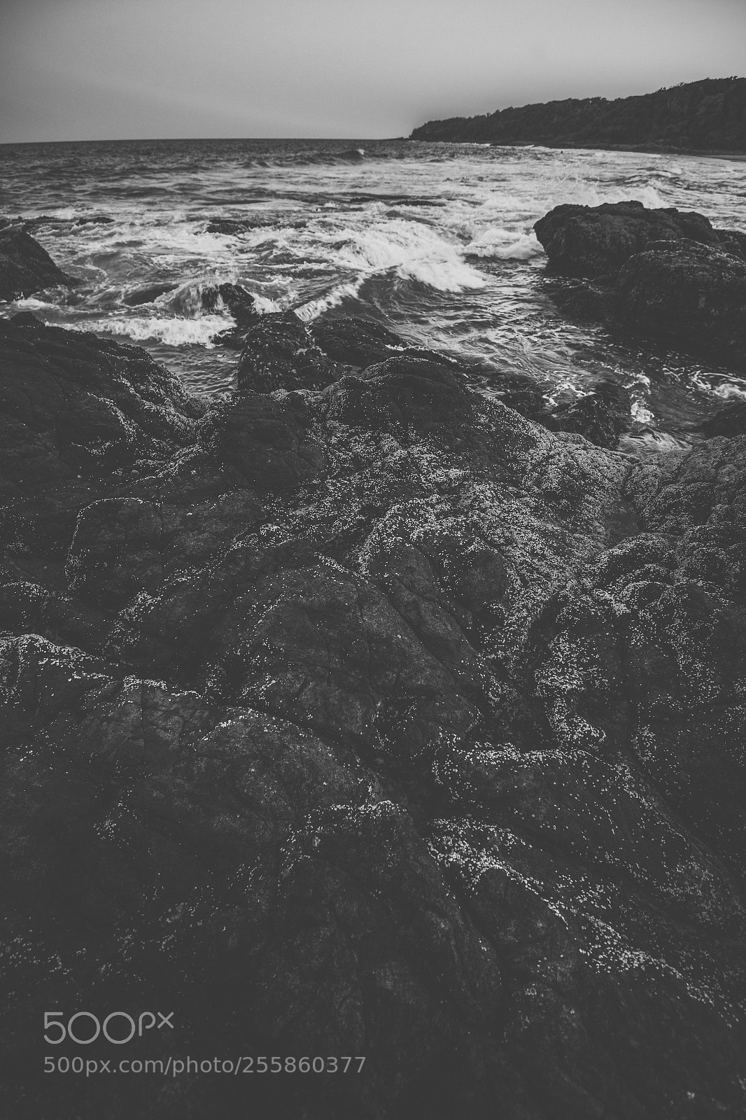 Nikon D800 sample photo. Coolum beach at the photography