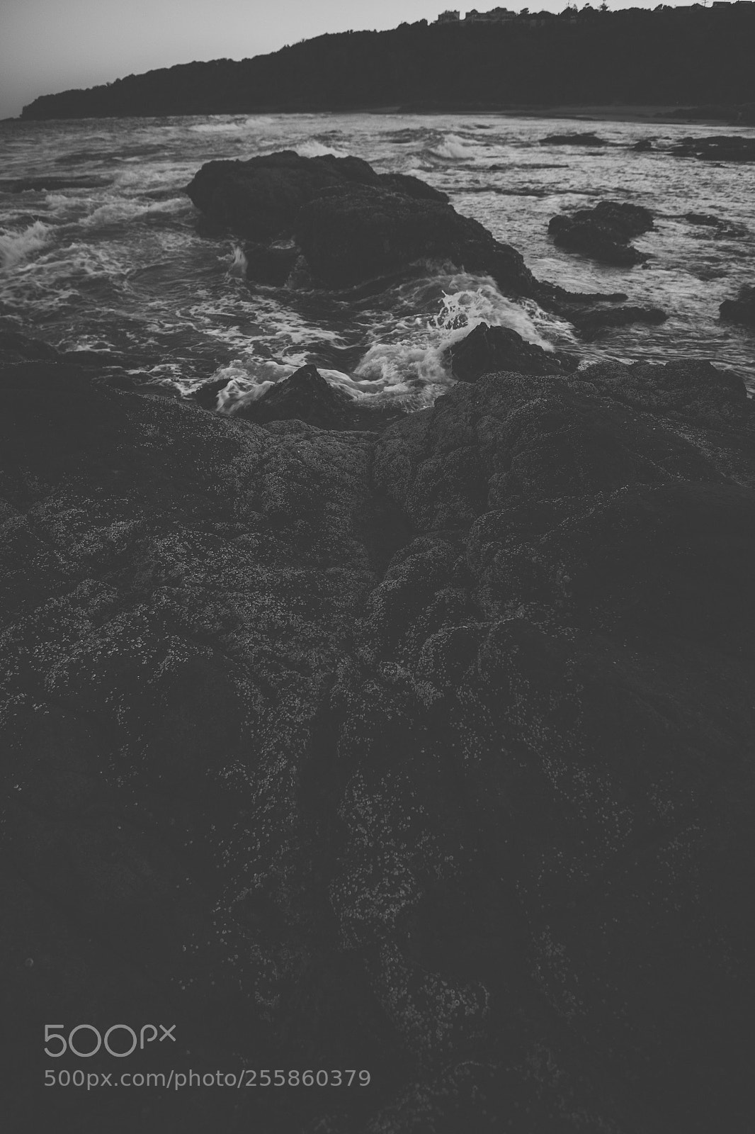 Nikon D800 sample photo. Coolum beach at the photography