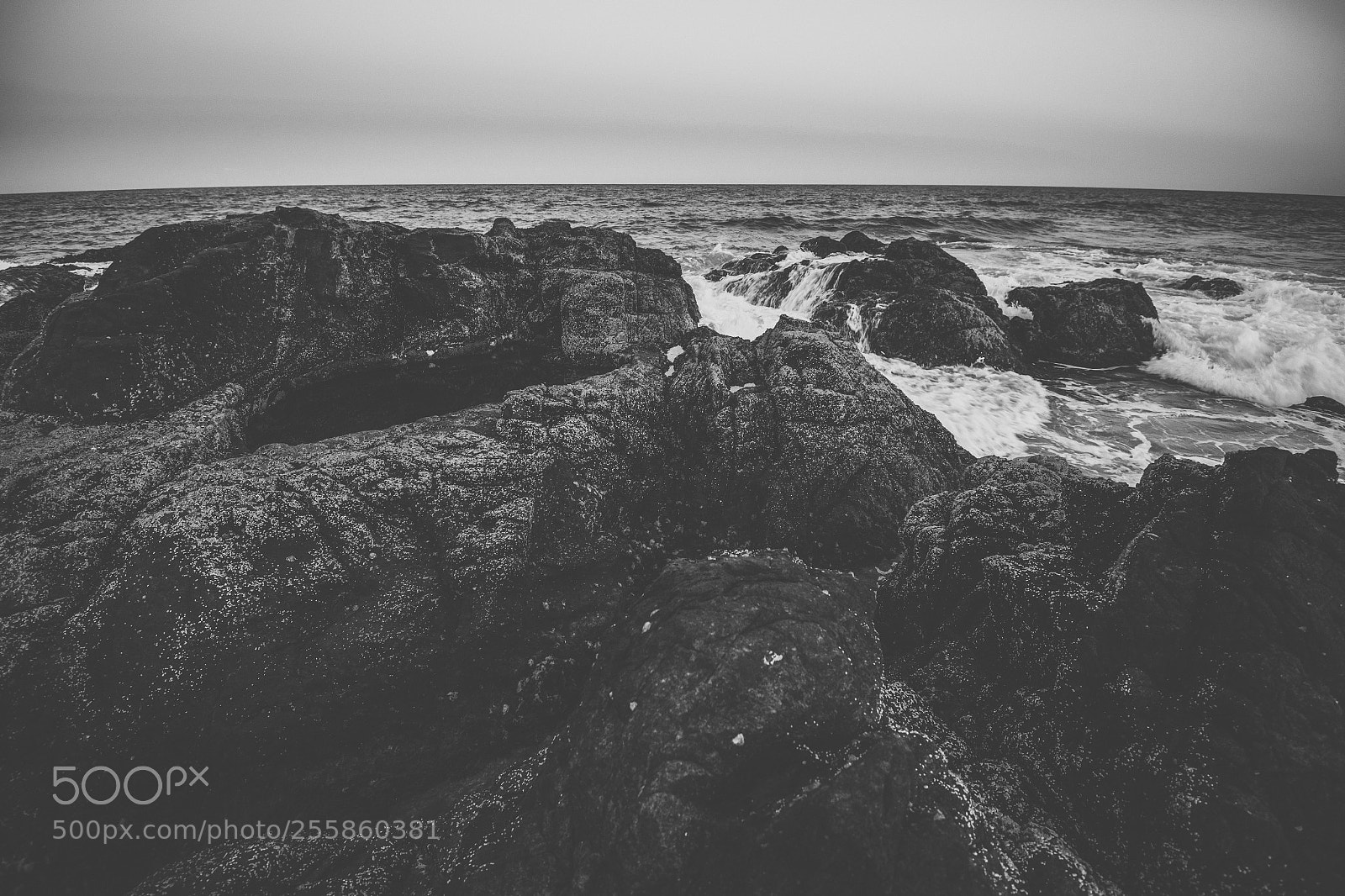Nikon D800 sample photo. Coolum beach at the photography