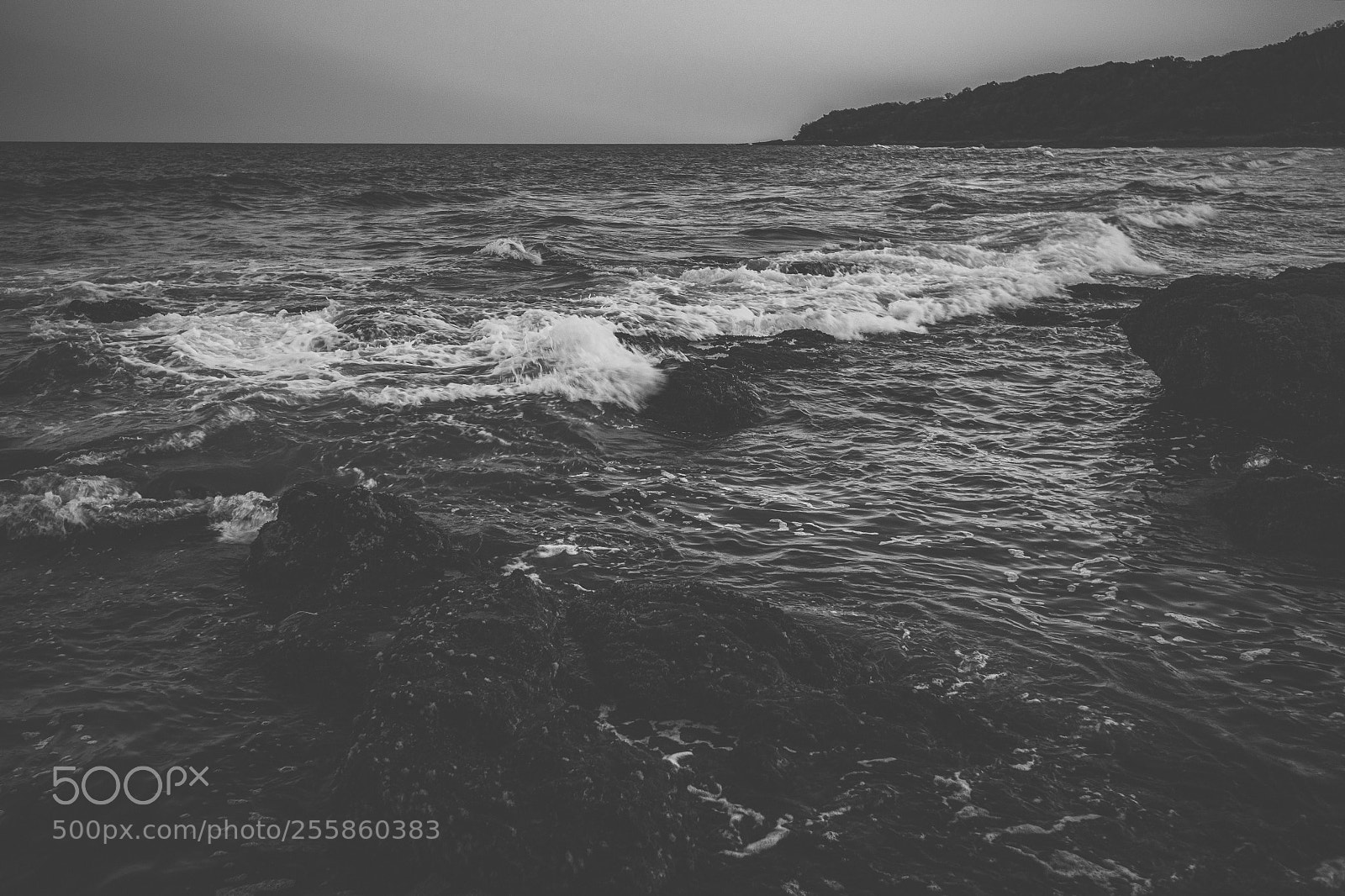 Nikon D800 sample photo. Coolum beach at the photography