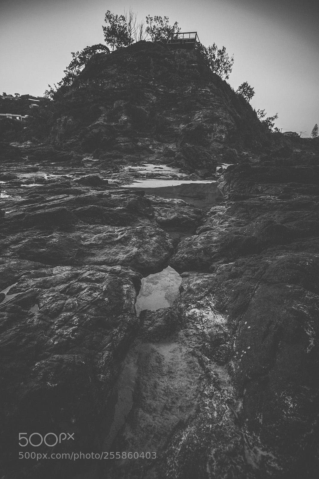 Nikon D800 sample photo. Coolum beach at the photography