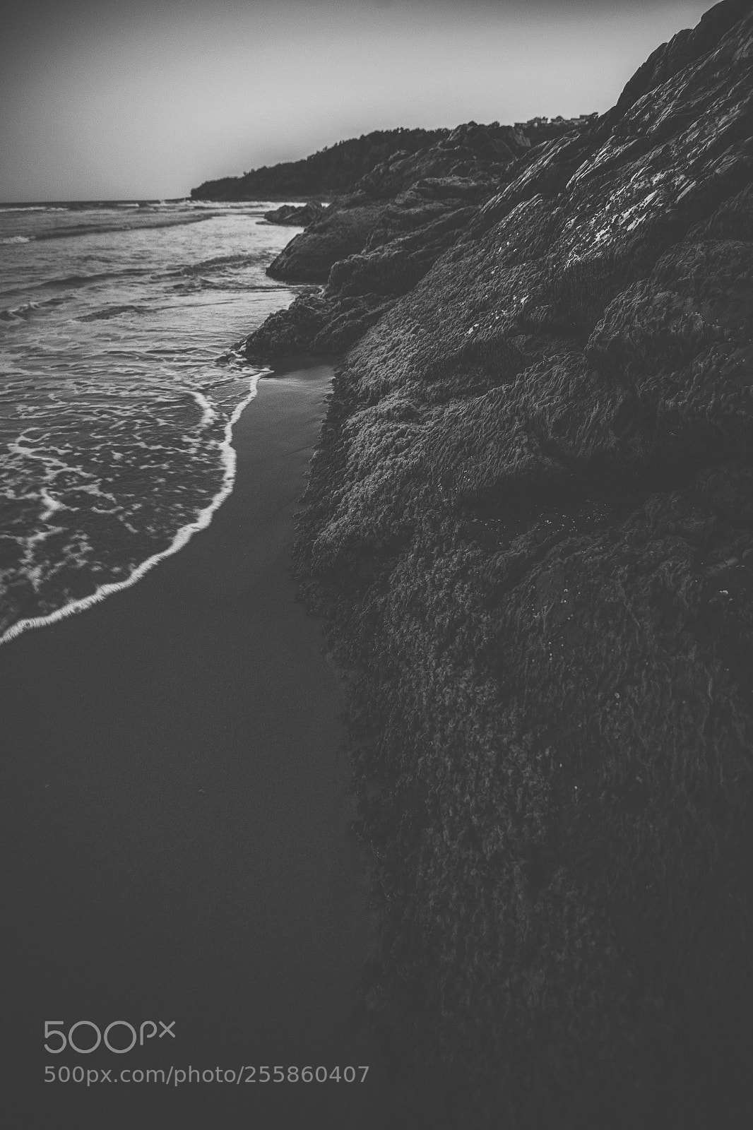 Nikon D800 sample photo. Coolum beach at the photography