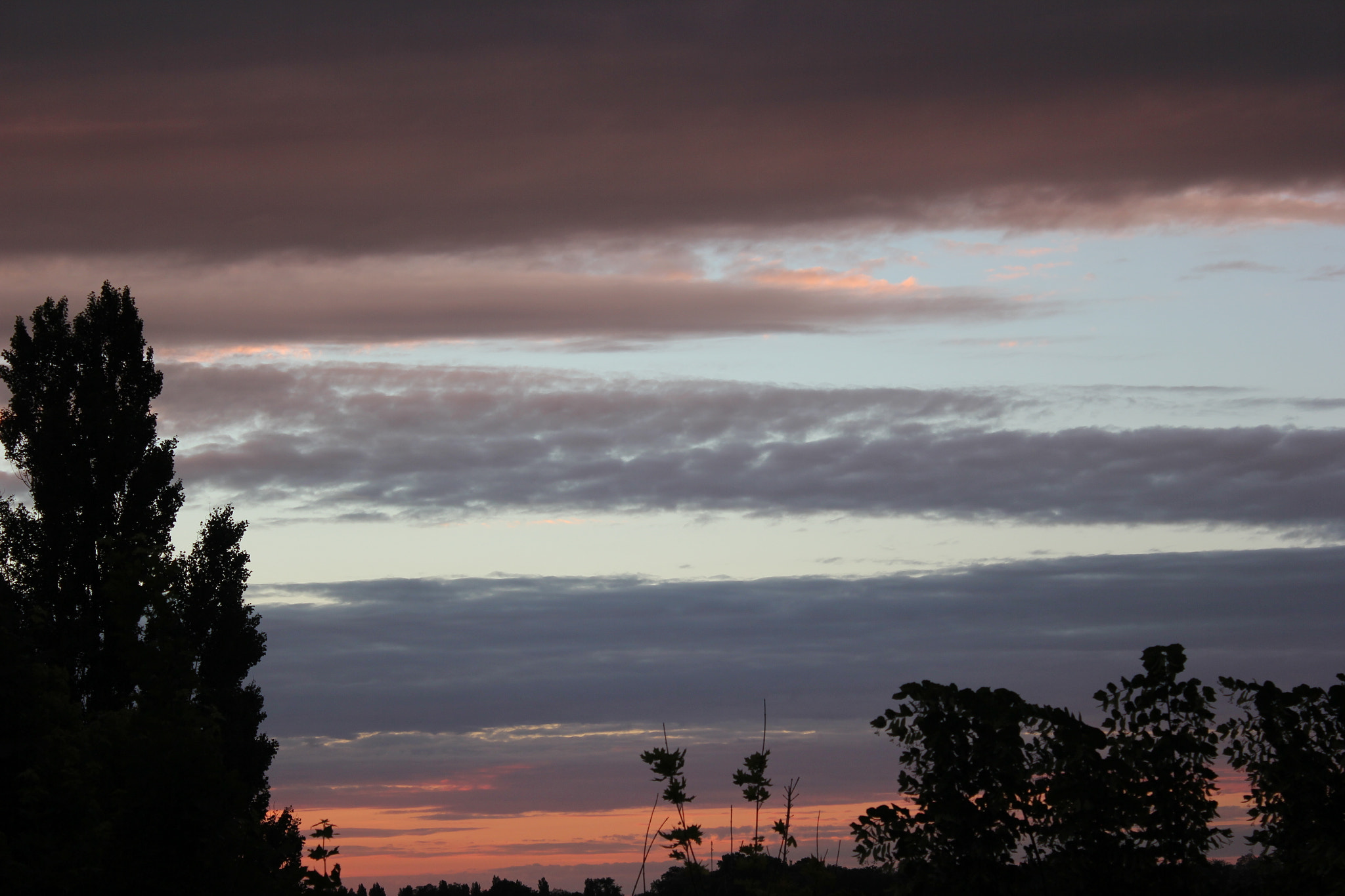 Canon EOS 550D (EOS Rebel T2i / EOS Kiss X4) sample photo. Img photography