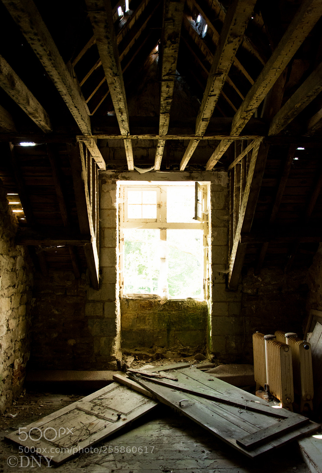 Nikon D5200 sample photo. Chateau sequoia photography
