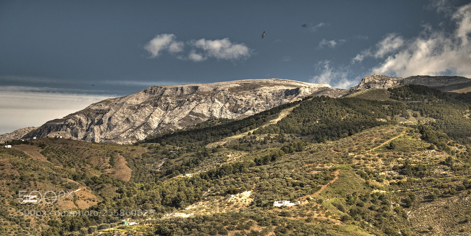 Canon EOS 70D sample photo. La maroma photography
