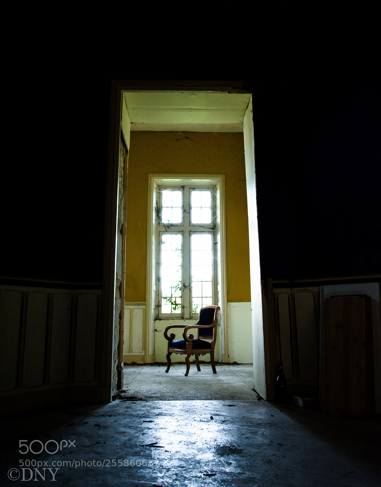 Nikon D5200 sample photo. Chateau sequoia photography