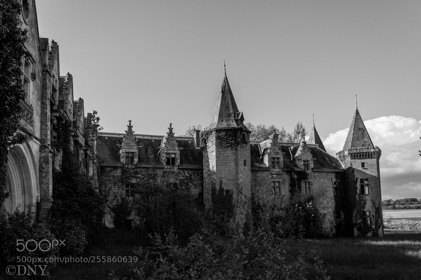 Nikon D5200 sample photo. Chateau sequoia photography