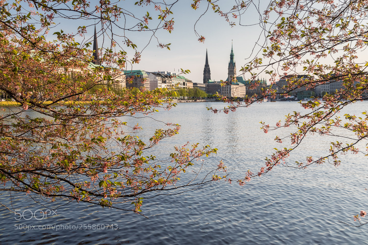 Canon EOS 5D Mark IV sample photo. Hamburg promenade photography