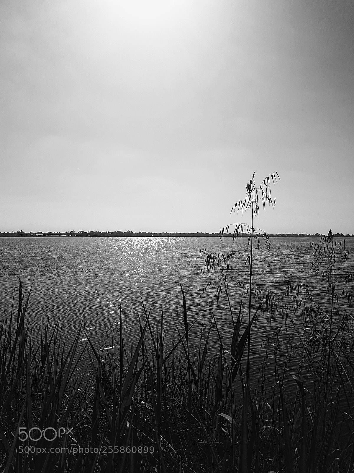 Samsung Galaxy S7 Edge sample photo. Lago monaci photography