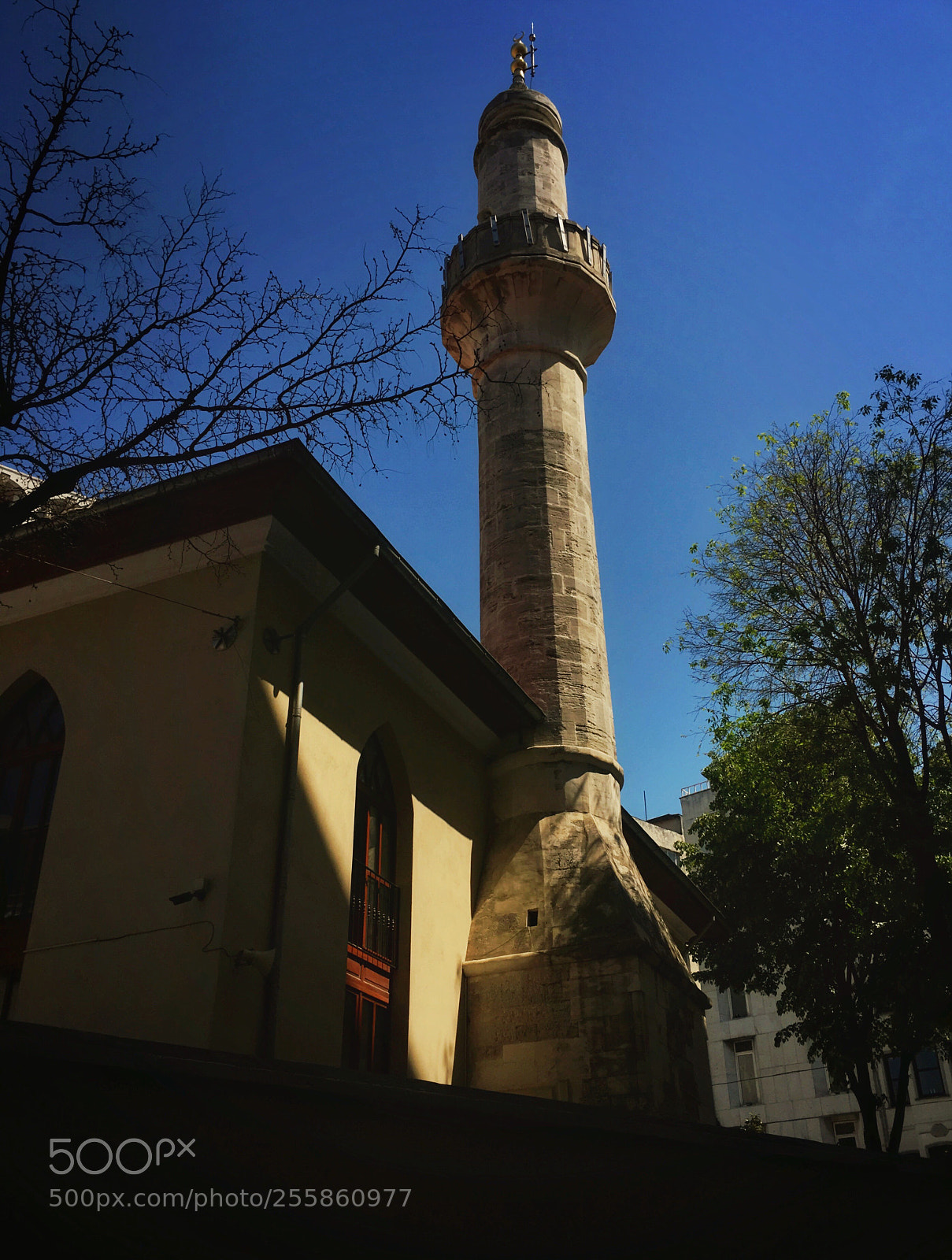 Apple iPhone 6s Plus sample photo. Cami photography