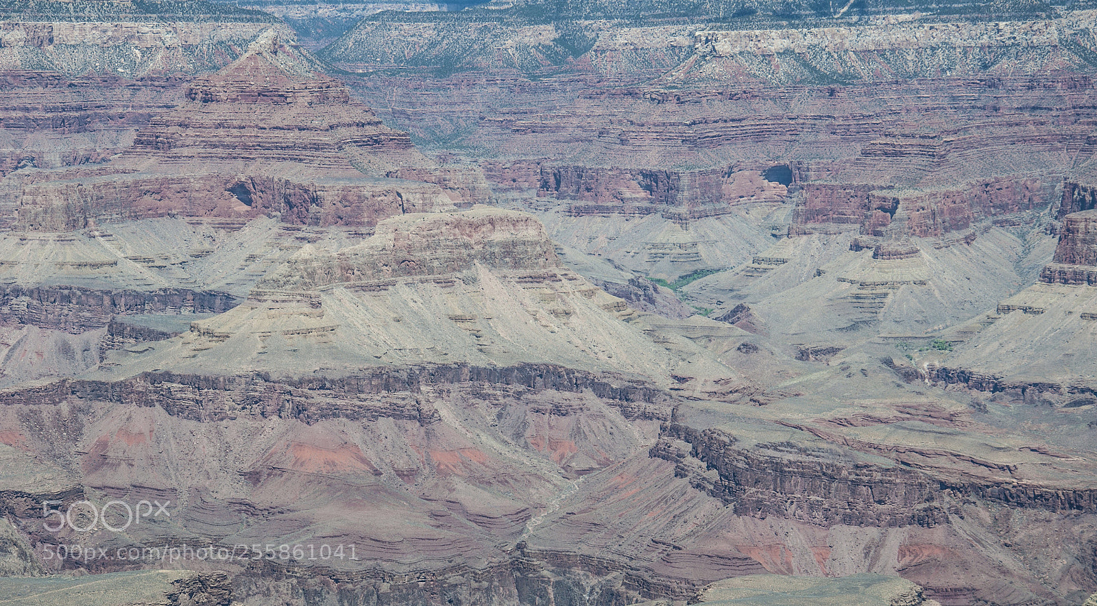 Nikon D90 sample photo. Grand canyon  photography
