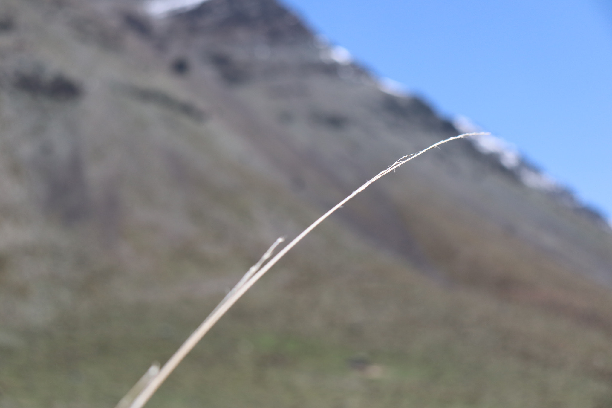 Canon EOS 77D (EOS 9000D / EOS 770D) sample photo. Img photography