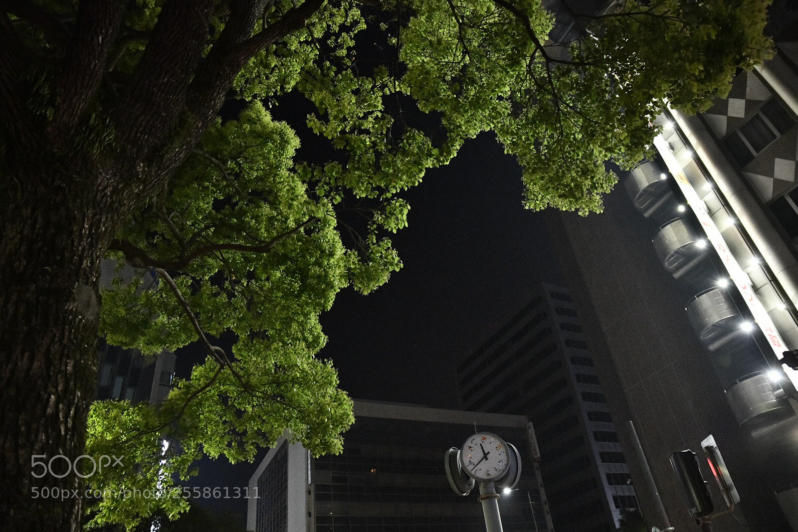 Nikon D850 sample photo. Untitled photography