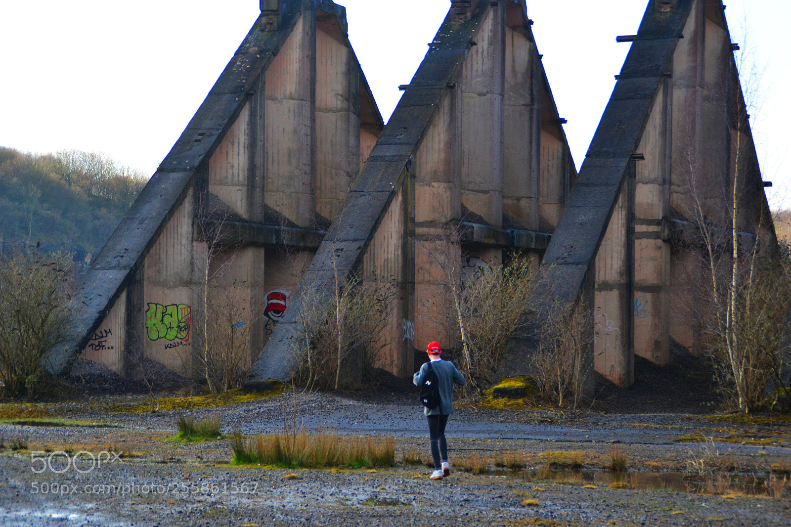 Nikon D3100 sample photo. Quarry photography