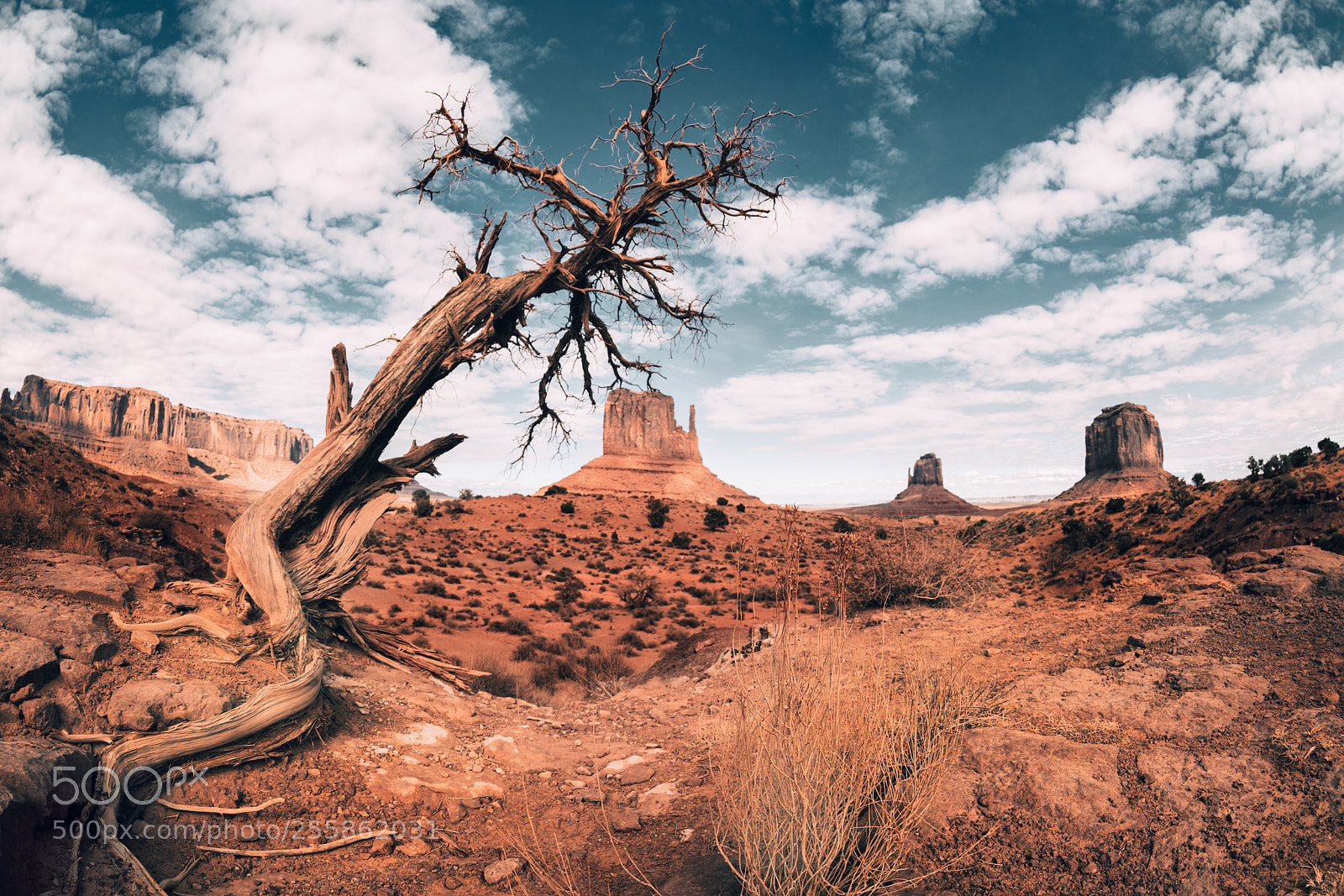 Sony a7R II sample photo. Lonely photography