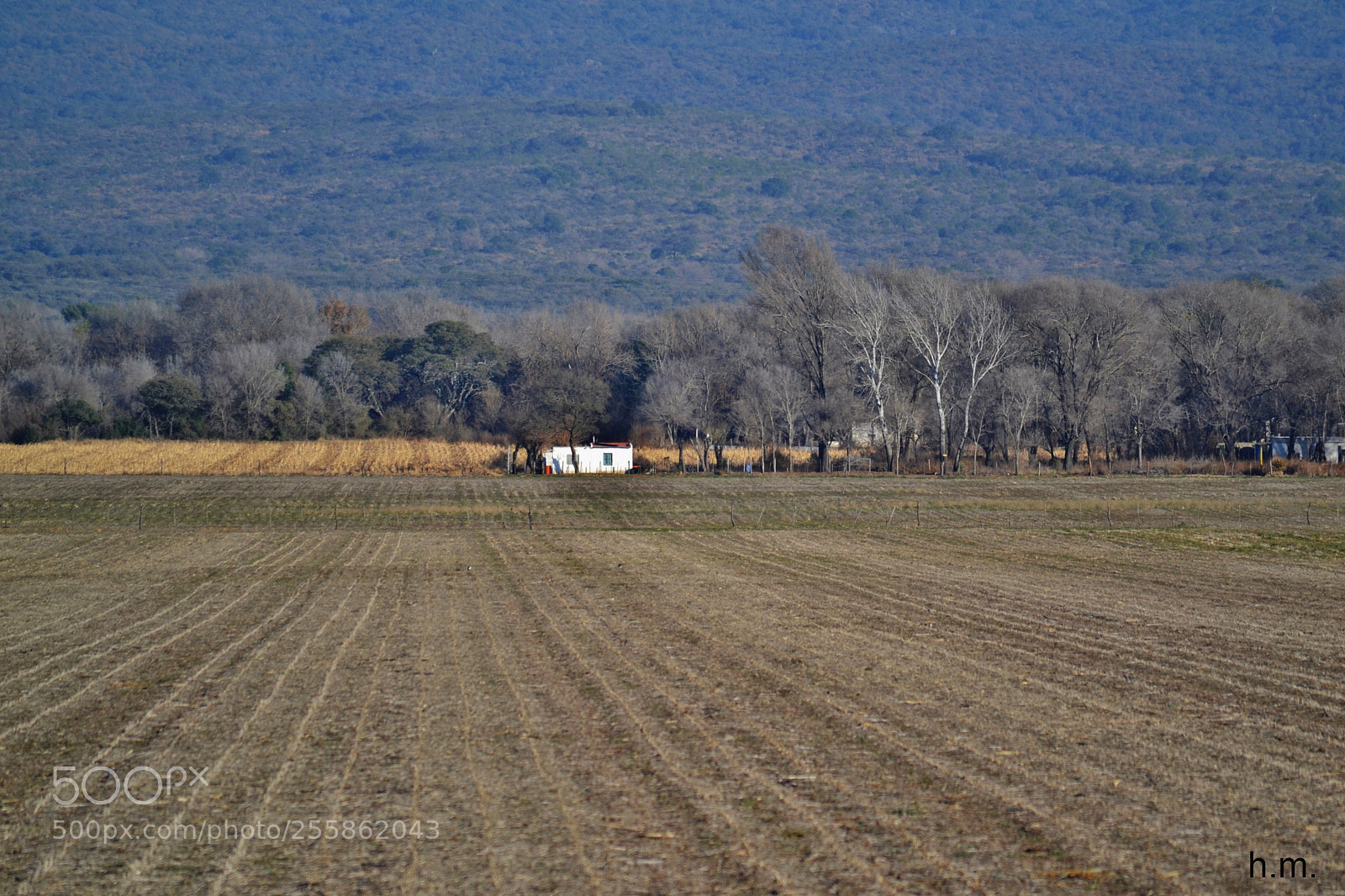 Nikon D3100 sample photo. Baaeo photography