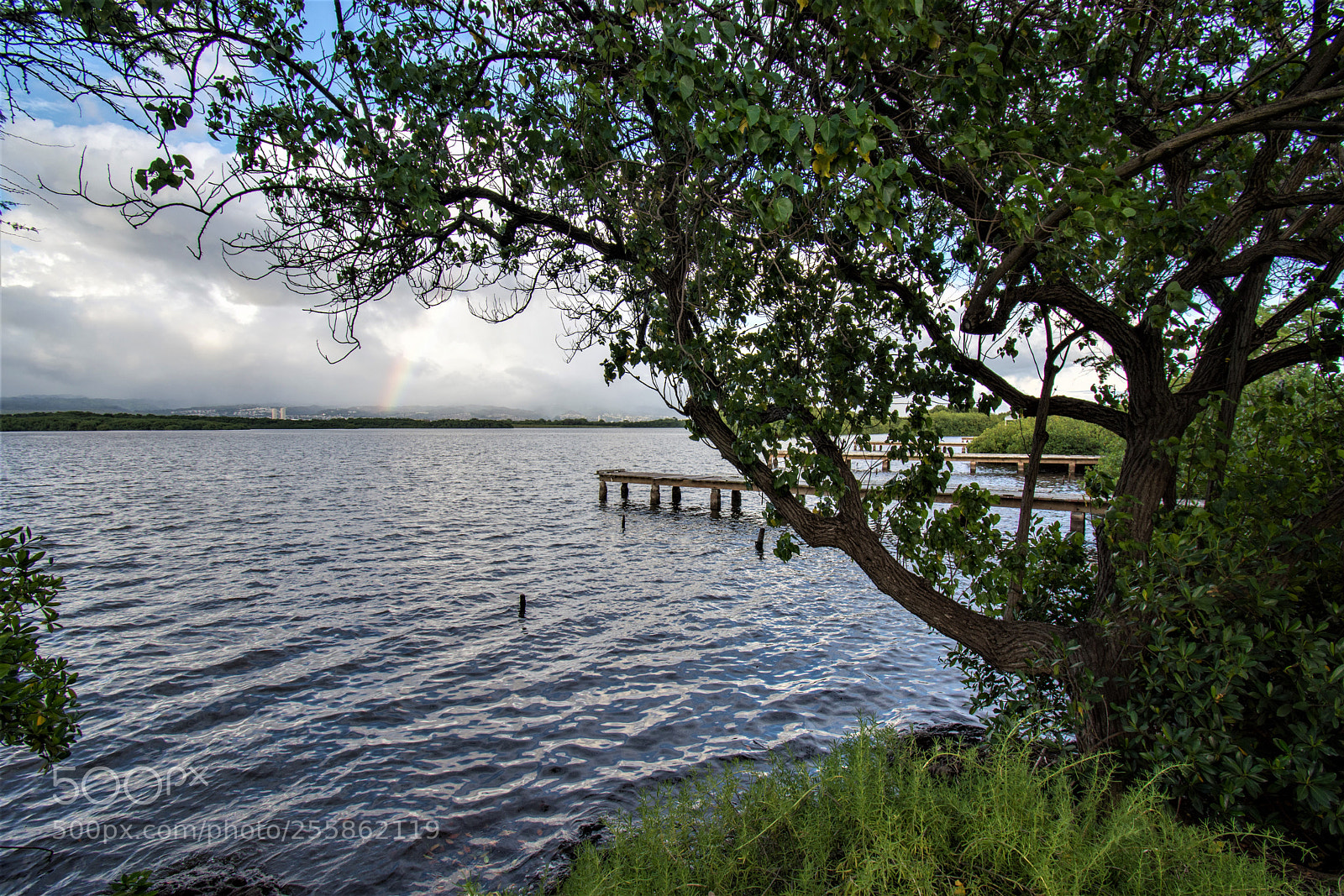 Nikon D7200 sample photo. Lost harbor photography