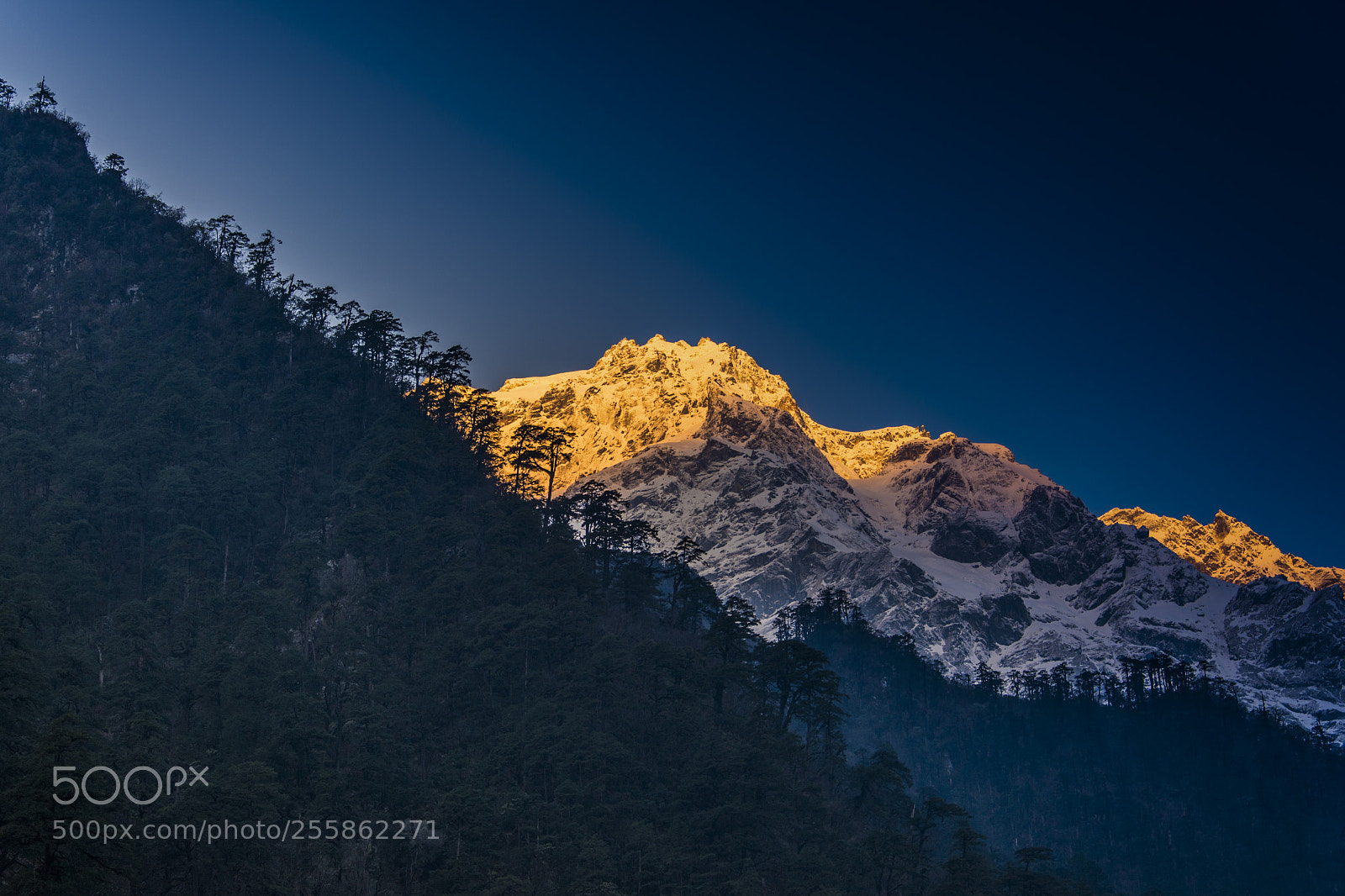 Nikon D7200 sample photo. Lachen sikkim photography