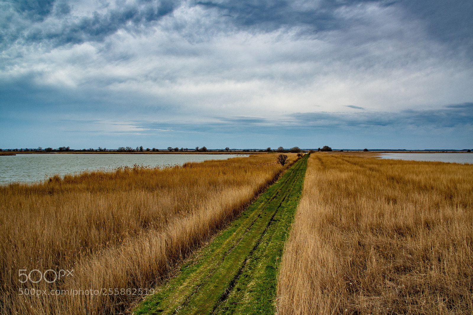 Nikon D7500 sample photo. Hortobagy lakes photography