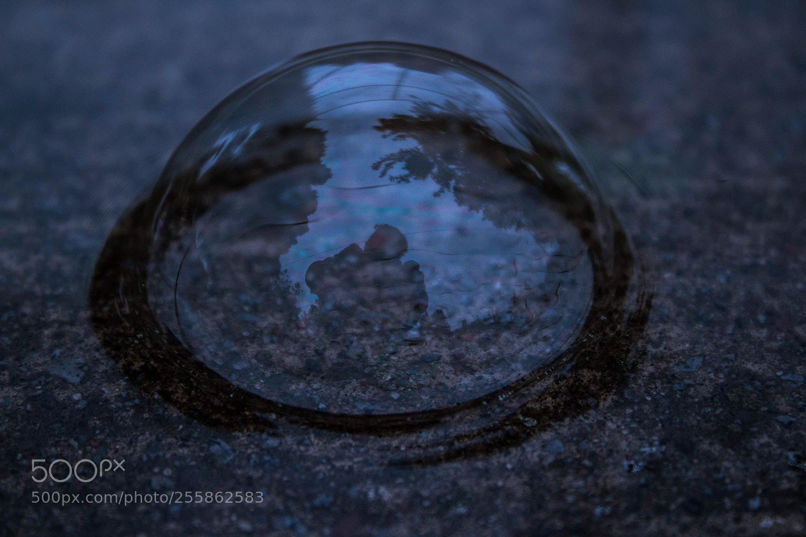 Canon EOS 1300D (EOS Rebel T6 / EOS Kiss X80) sample photo. Mirror in a bubble  photography