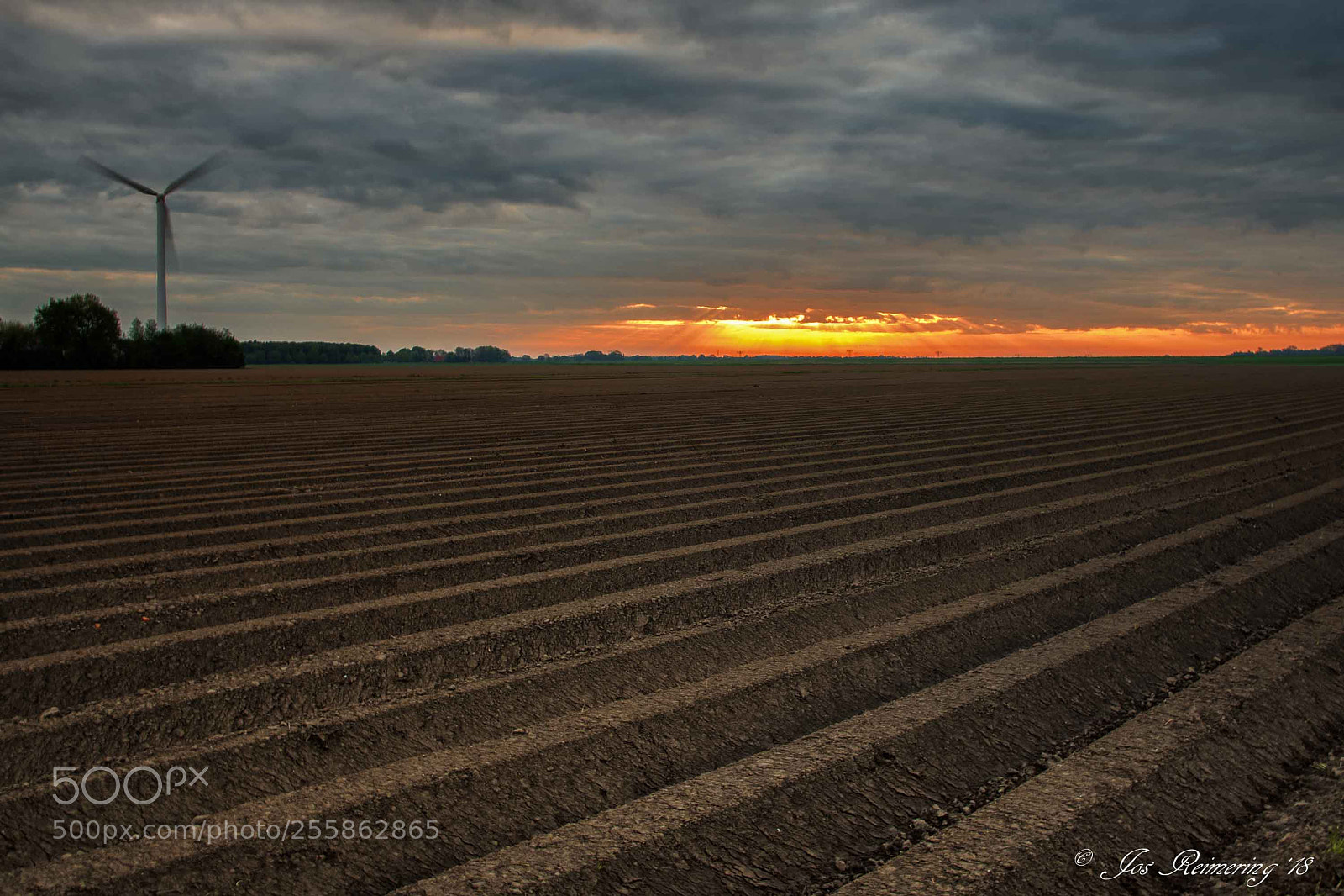 Nikon D500 sample photo. Sunrise over potato field photography