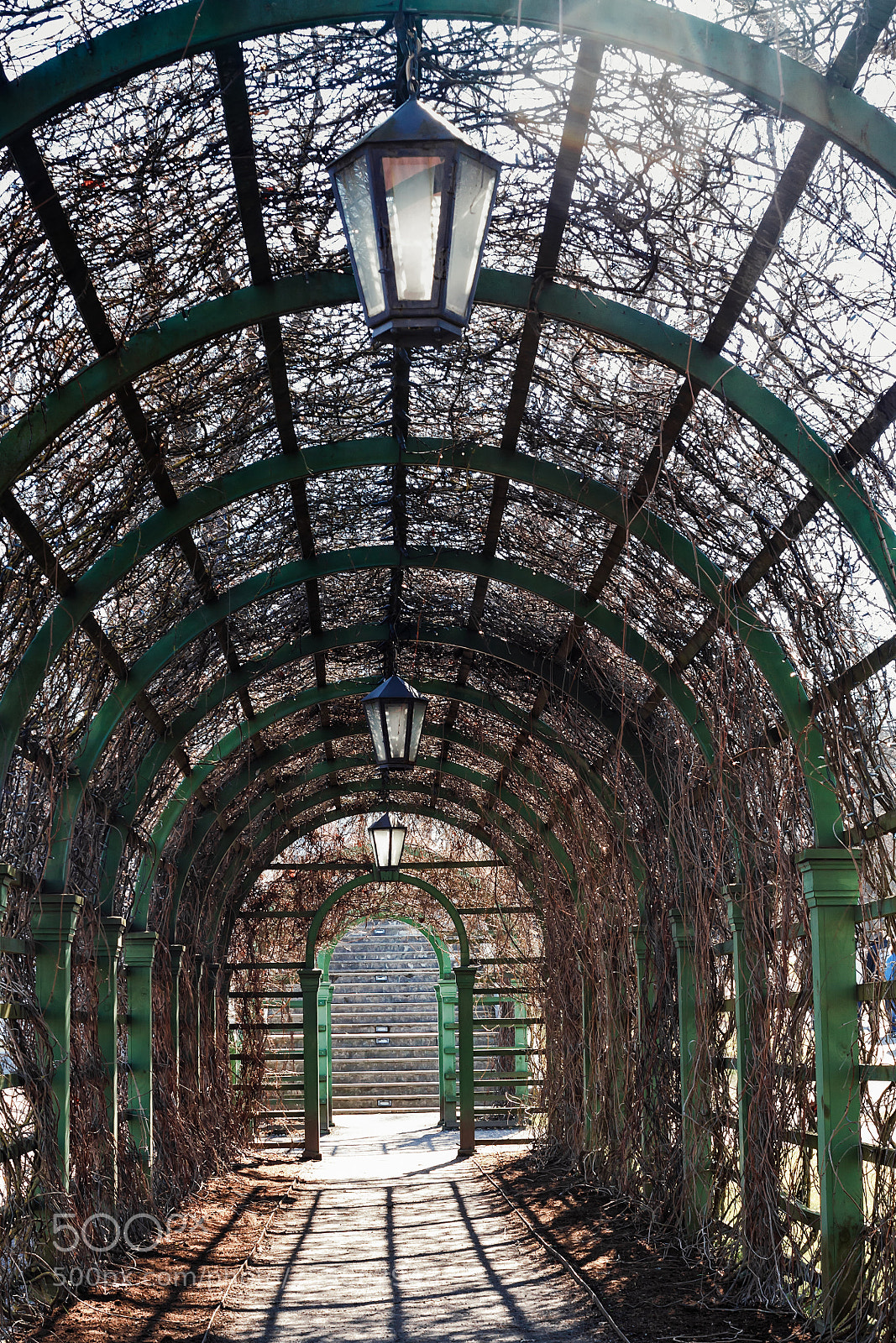 Canon EOS 50D sample photo. Old pergola in the photography