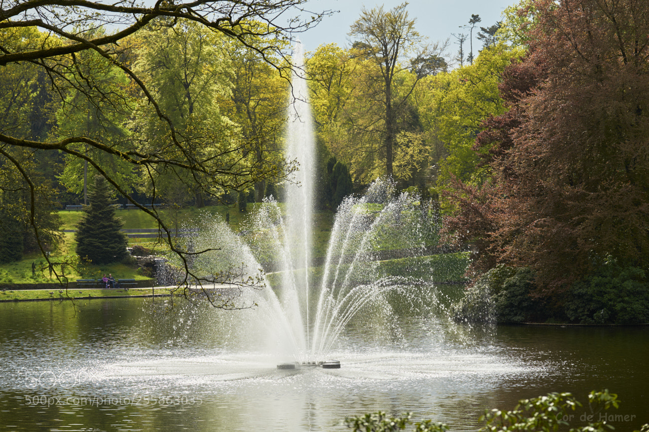 Sony SLT-A99V sample photo. Fountain in the park photography