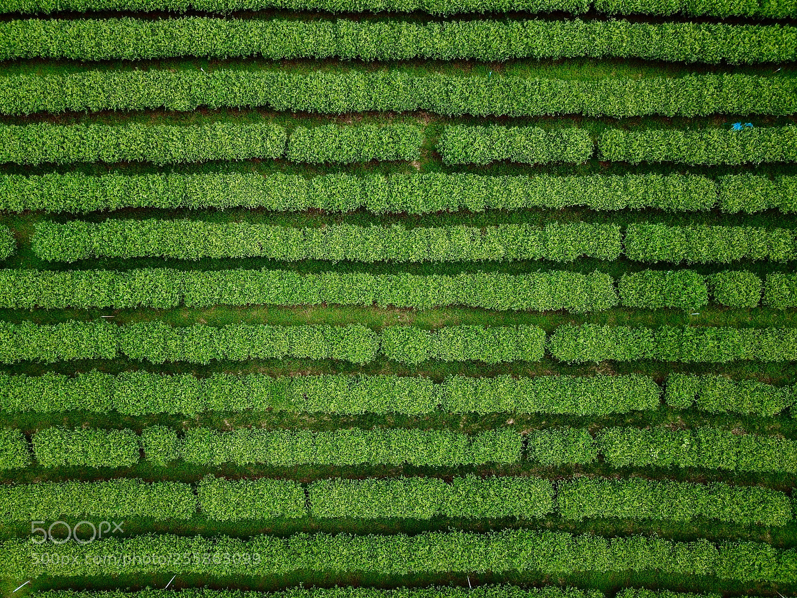 DJI FC220 sample photo. An aerial shot of photography