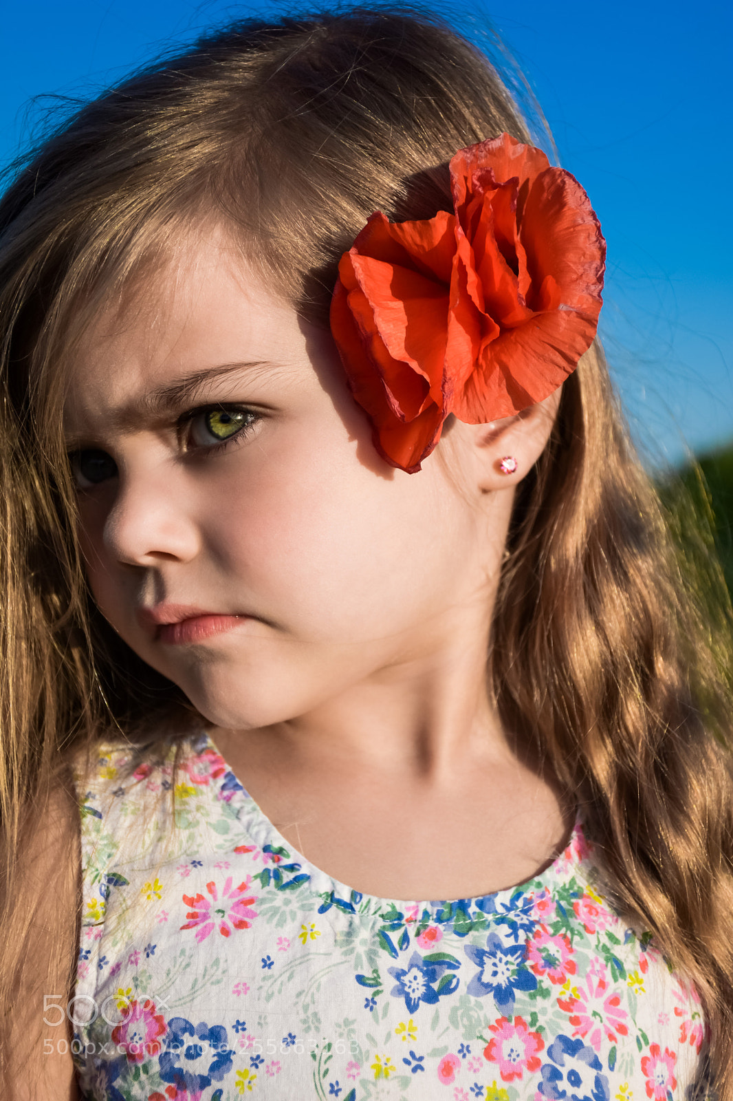 Nikon D7200 sample photo. Sofia and the poppy photography