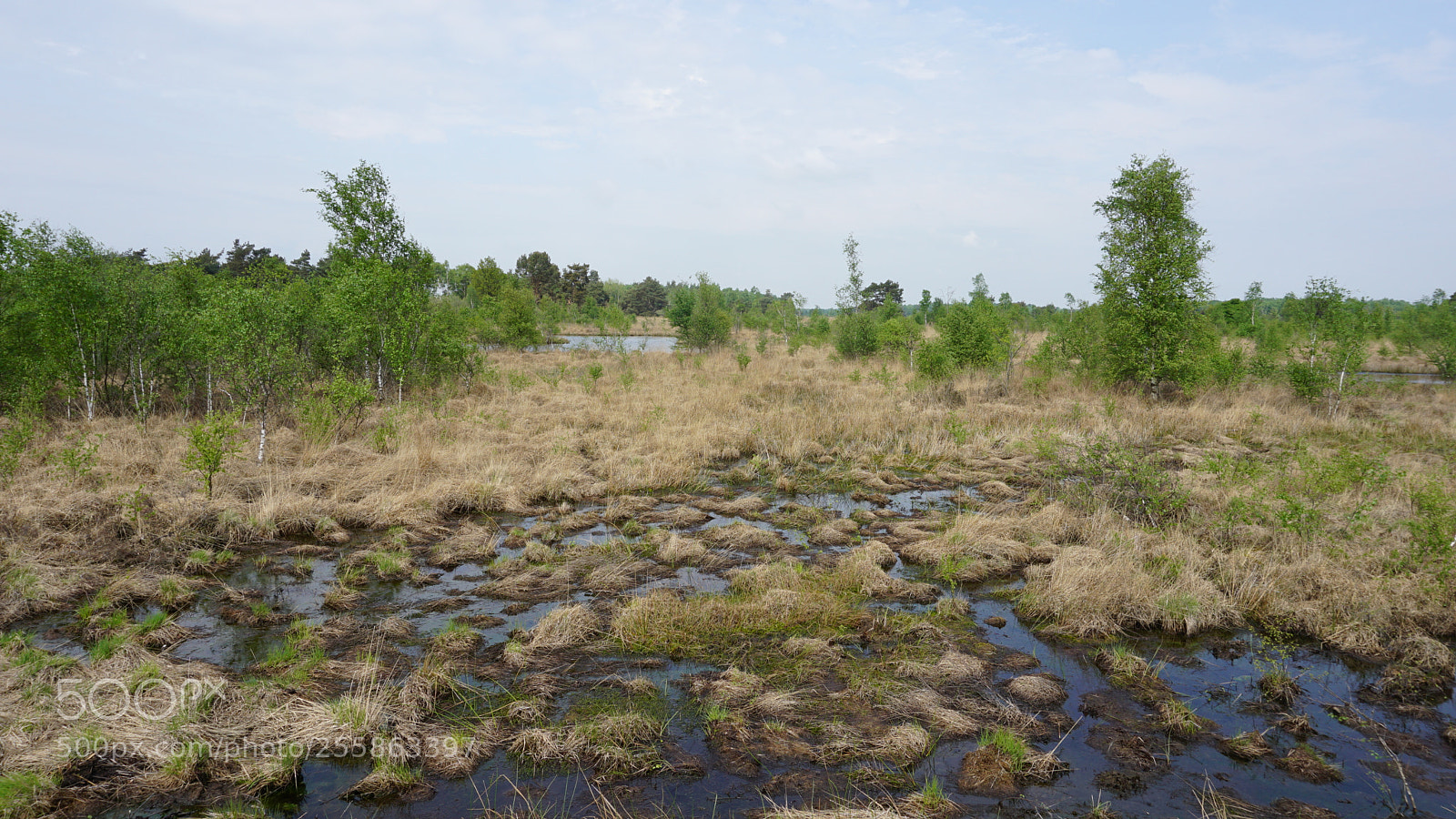 Sony a5100 sample photo. Water everywhere... photography