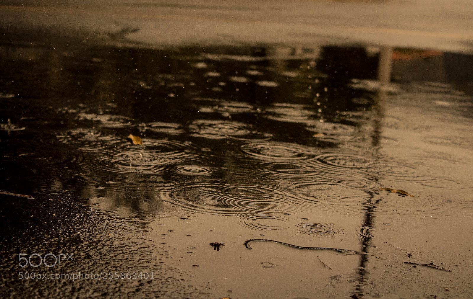 Canon EOS 1300D (EOS Rebel T6 / EOS Kiss X80) sample photo. Rain flow  photography
