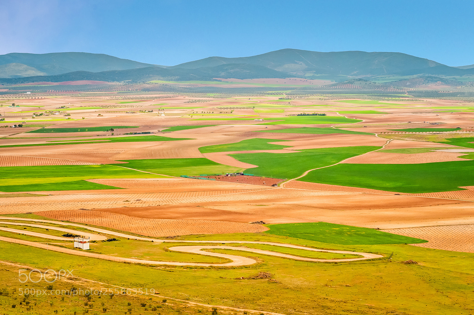 Nikon D300 sample photo. View to the fields photography