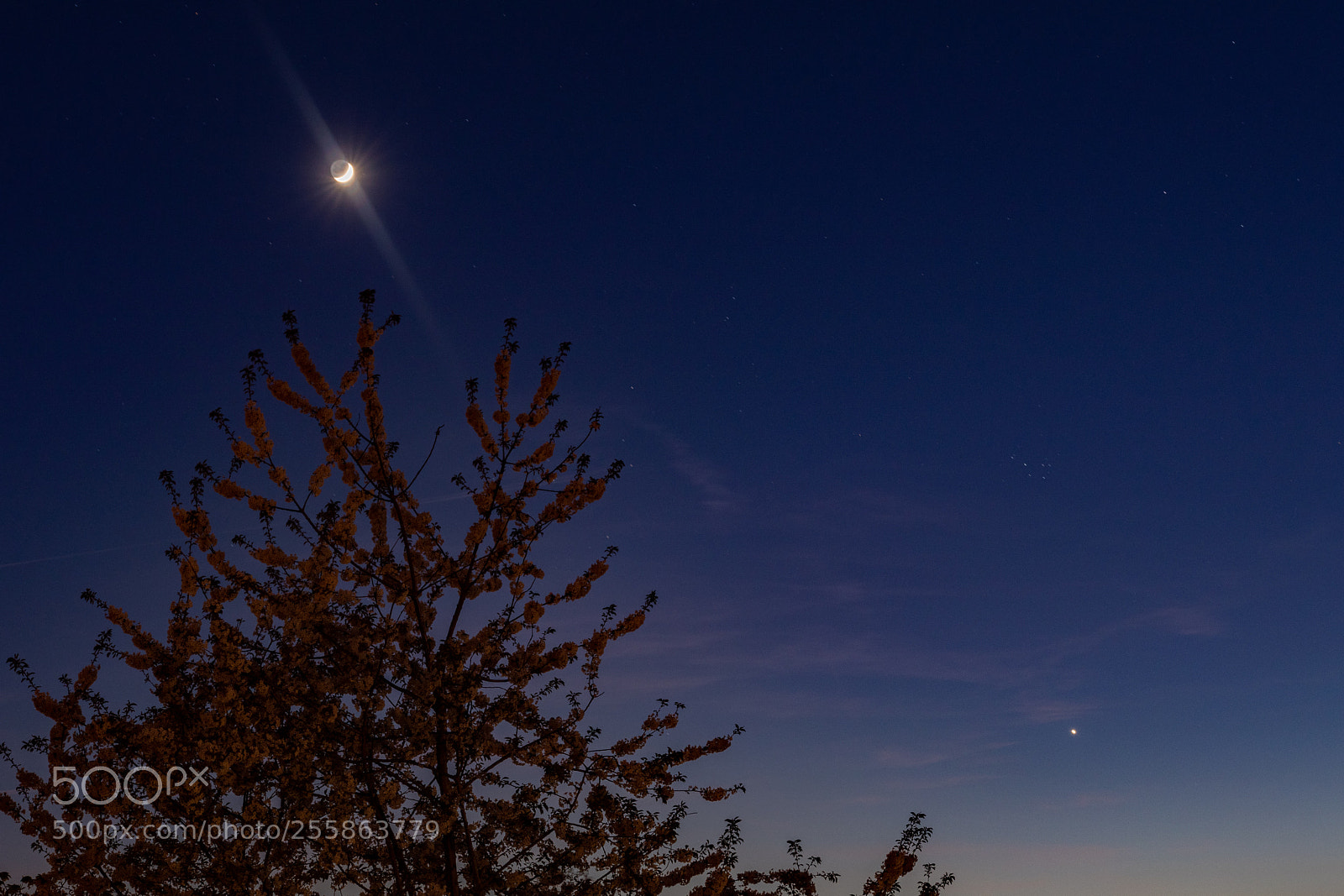 Canon EOS 80D sample photo. Moon and venus photography