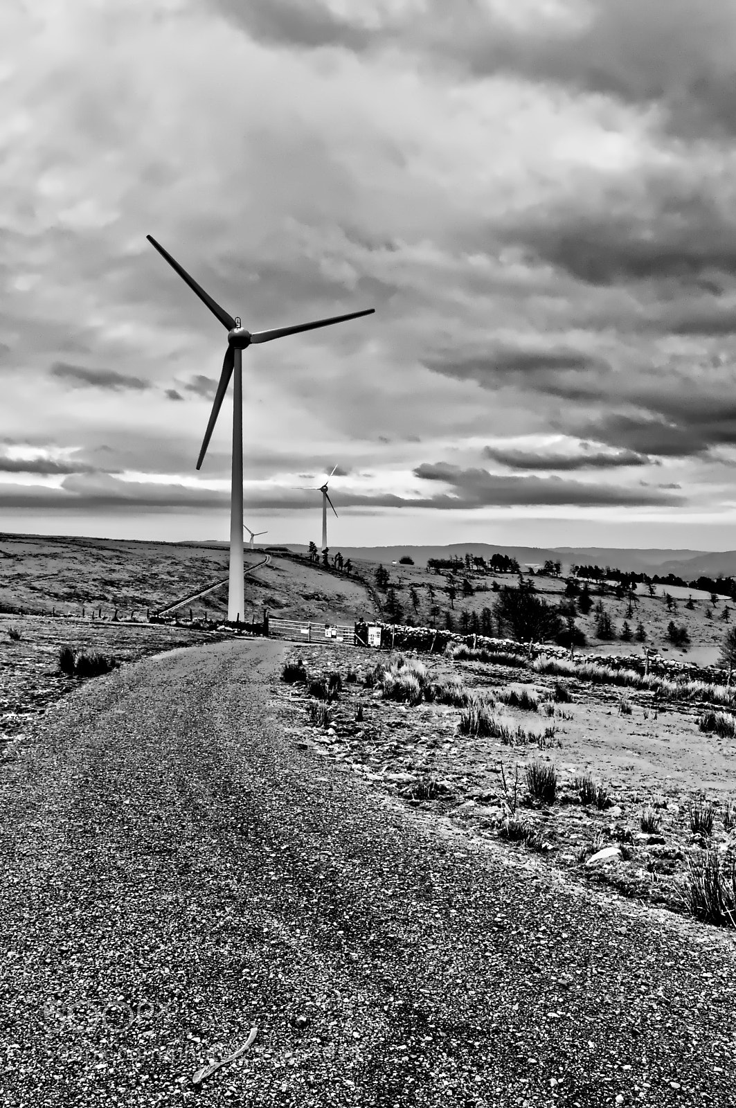 Nikon D2X sample photo. Wind power photography