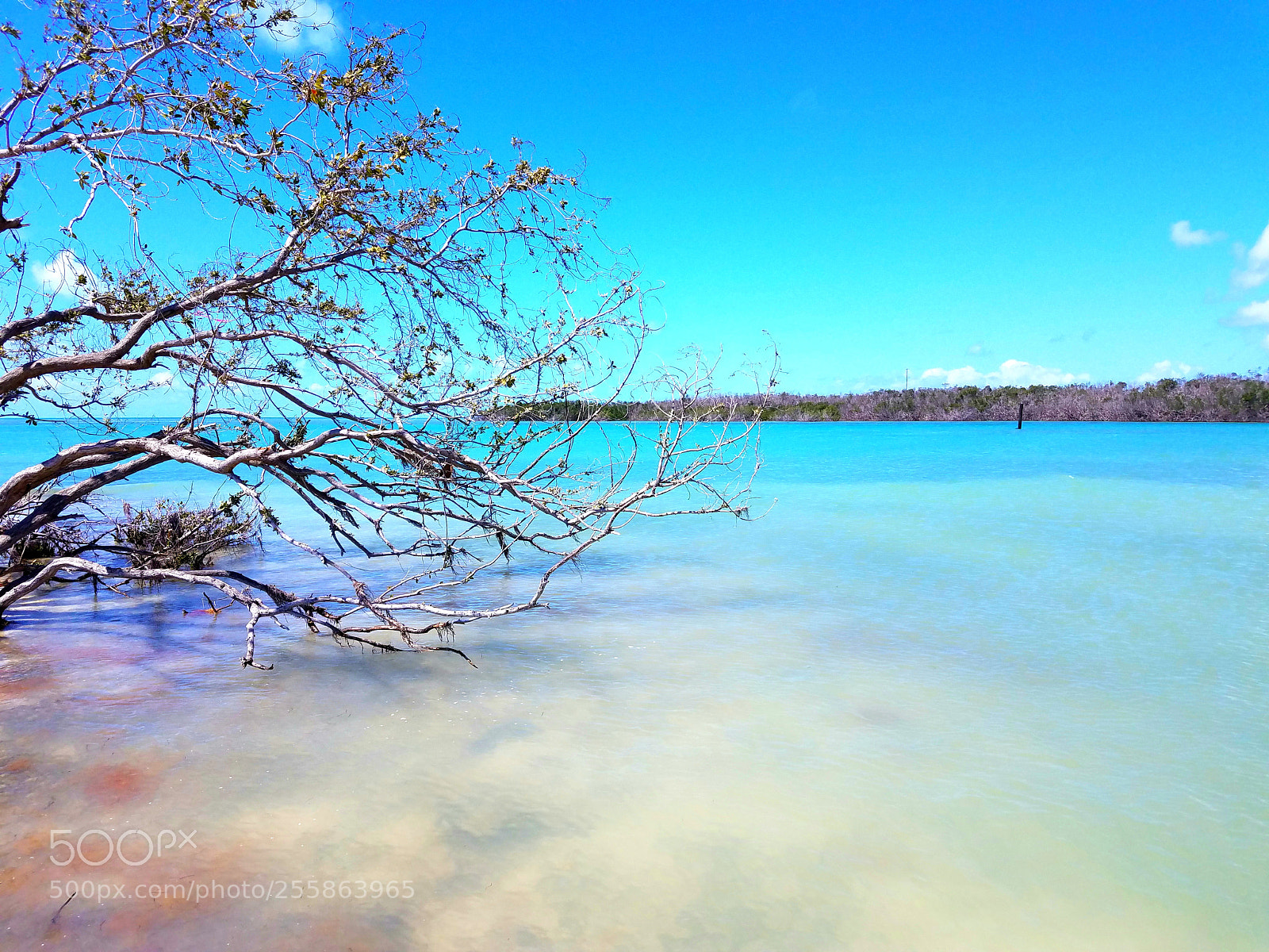 Samsung Galaxy S7 sample photo. Marathon beach photography