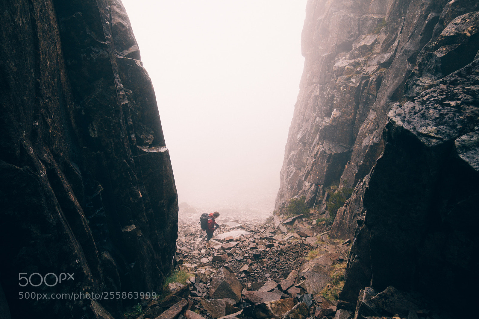 Canon EOS 5D Mark II sample photo. Moody king solomon's peak photography