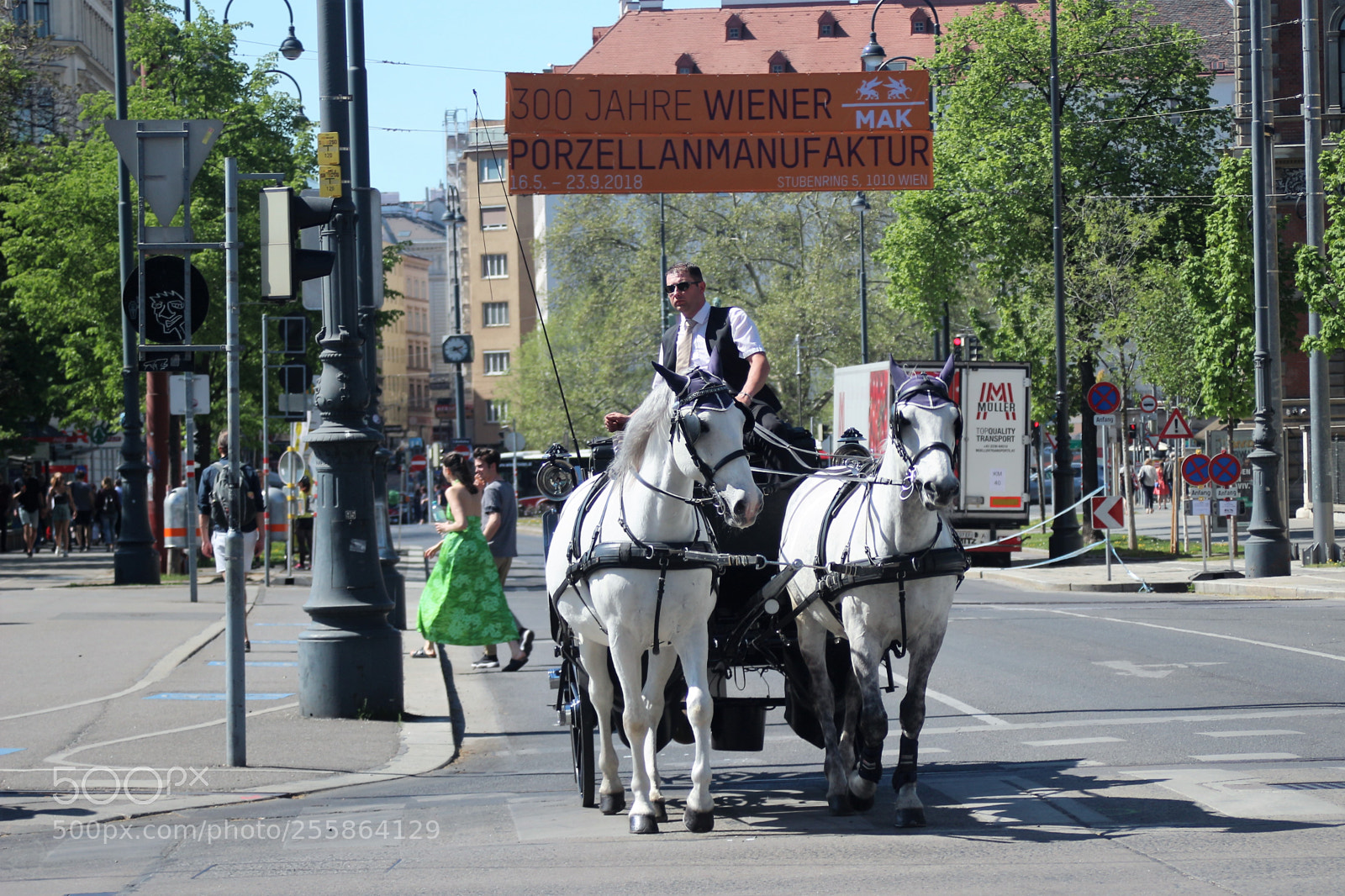 Canon EOS 100D (EOS Rebel SL1 / EOS Kiss X7) sample photo. Transportation in vienna photography