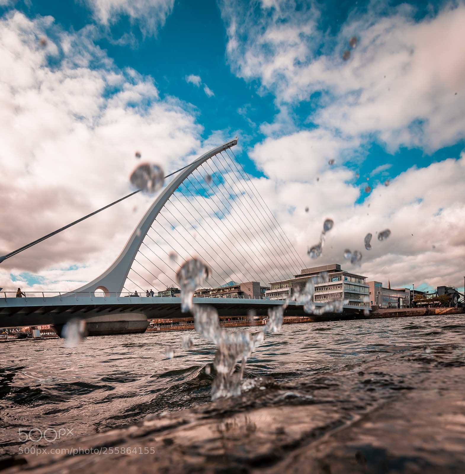 Canon EOS 6D sample photo. Samuel beckett bridge photography