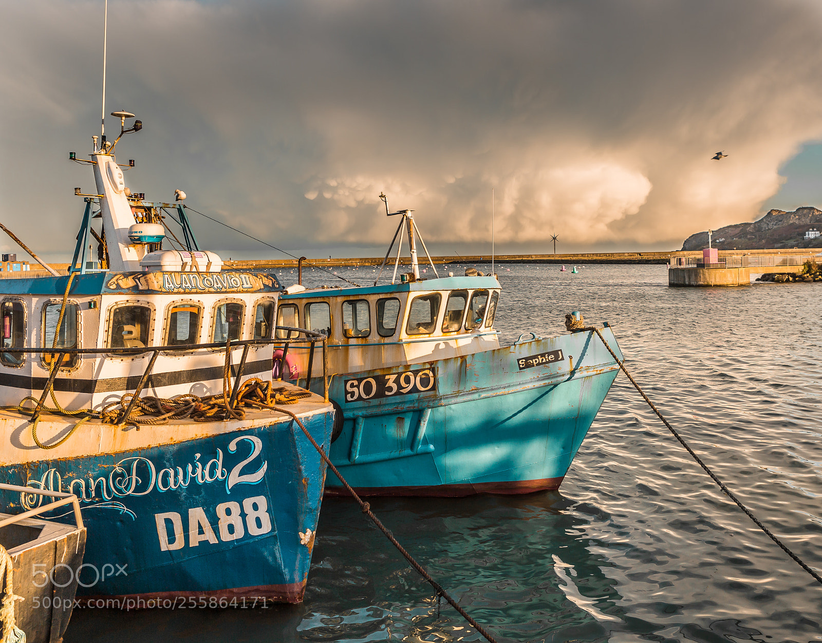Canon EOS 6D sample photo. David & sophie photography