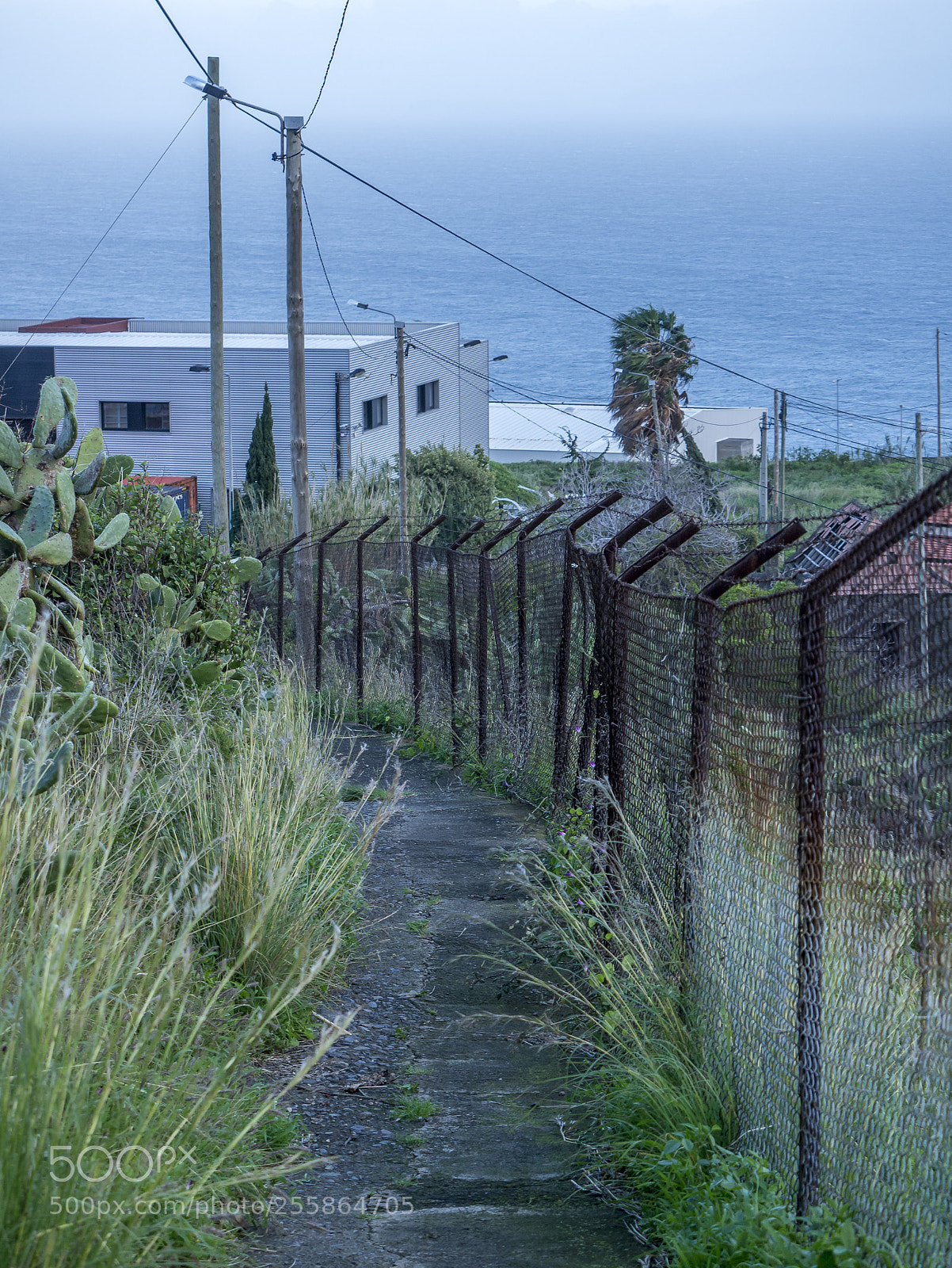 Panasonic Lumix DMC-G3 sample photo. Path photography