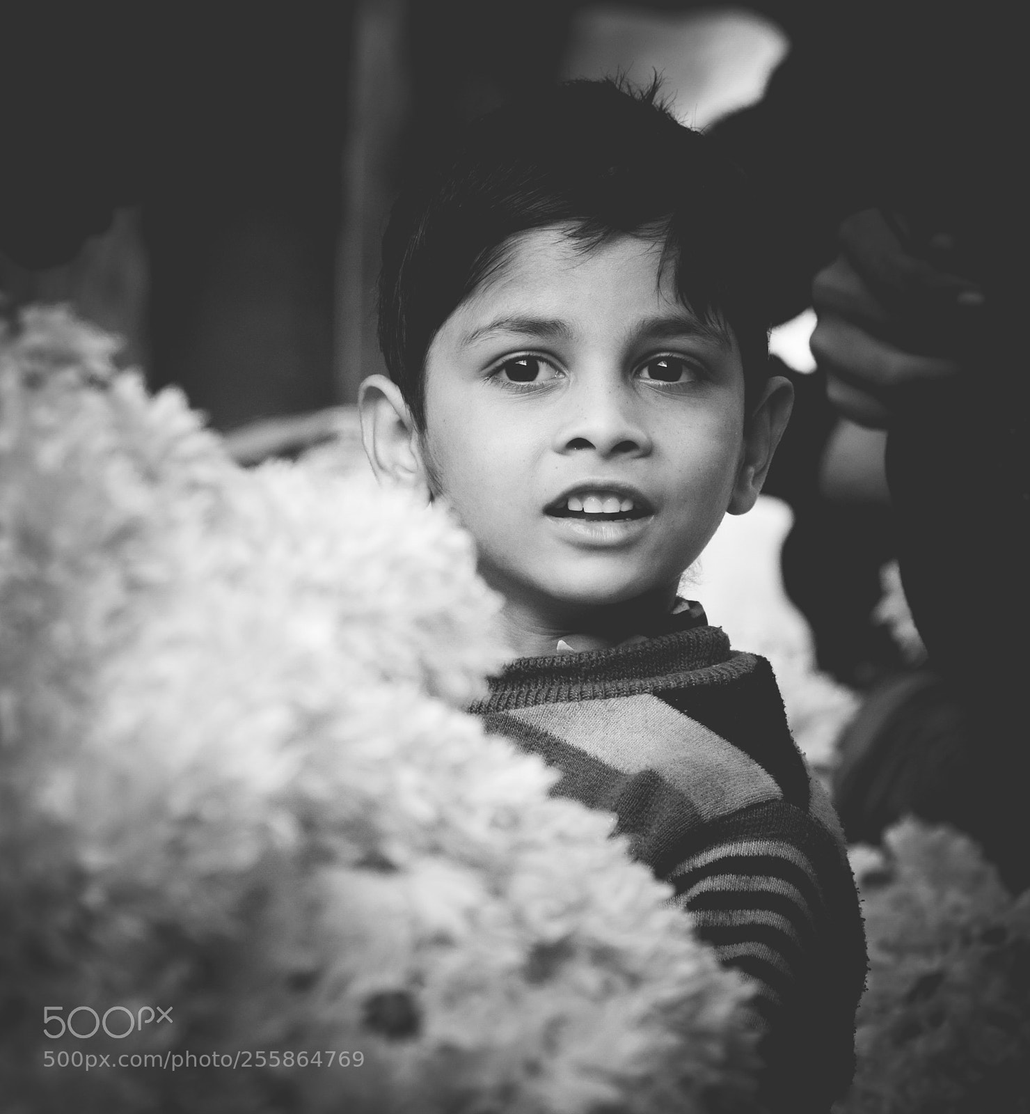 Nikon D3300 sample photo. Curious child photography
