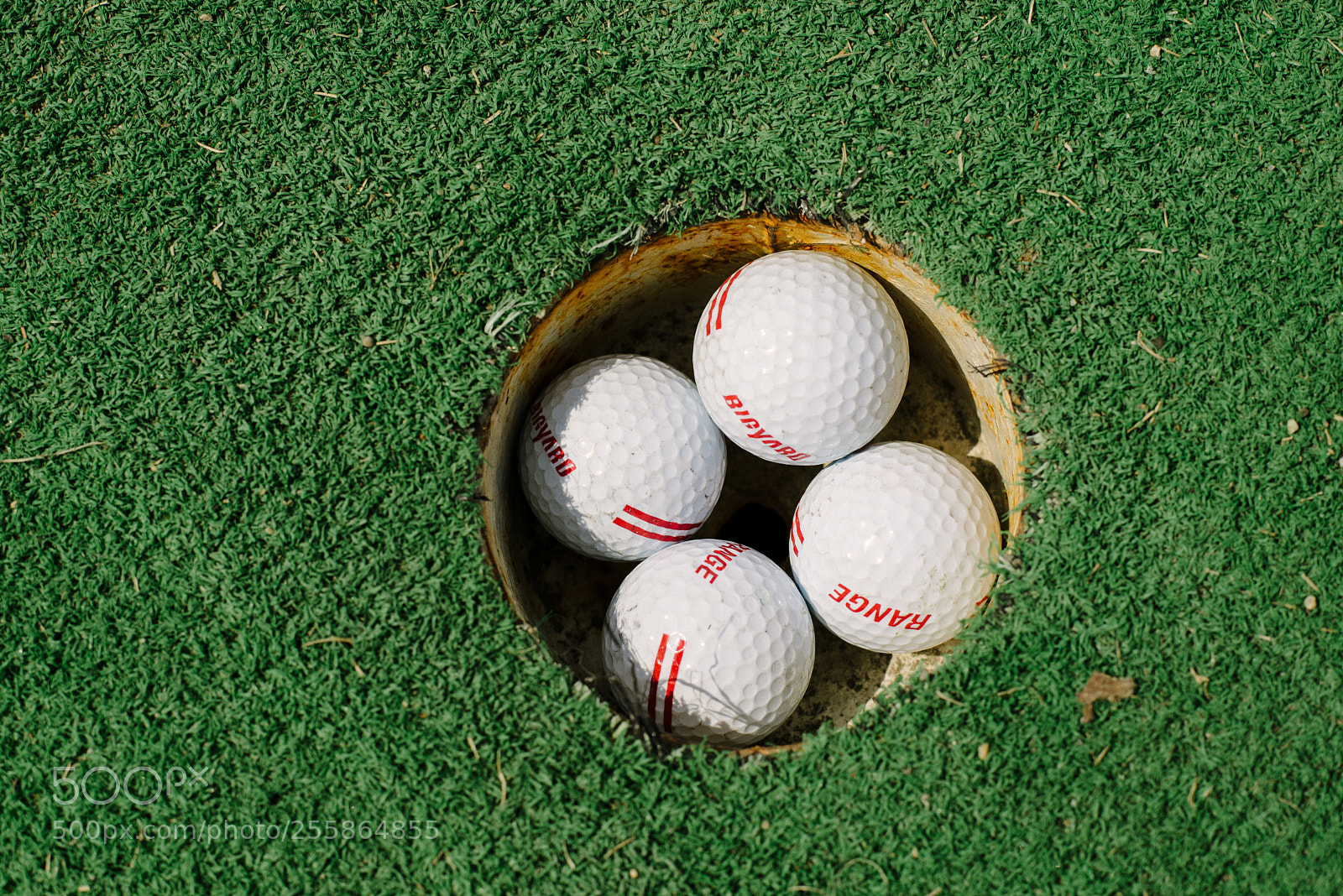 Nikon D610 sample photo. Goal photography