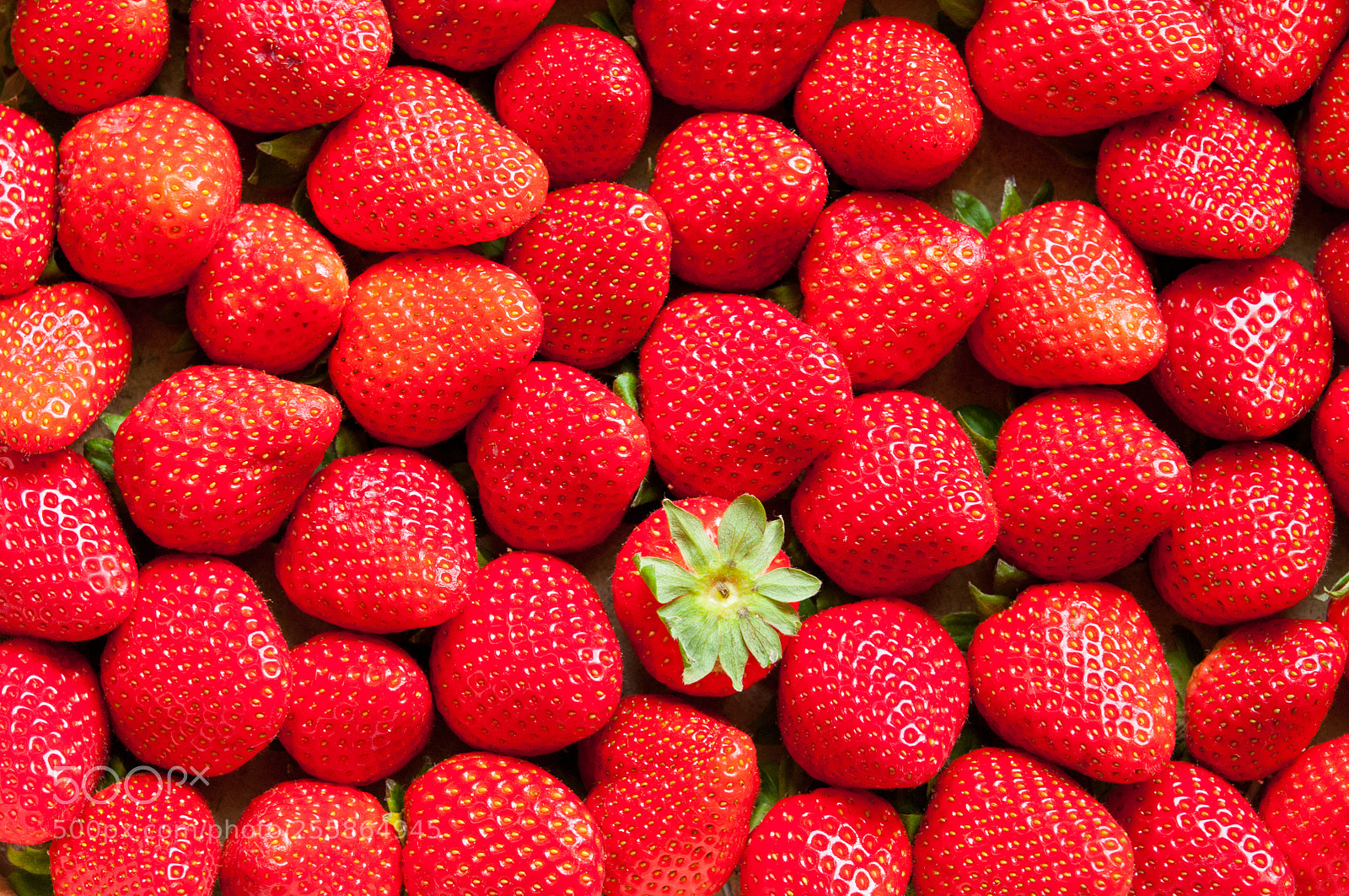 Nikon D300S sample photo. Strawberries photography