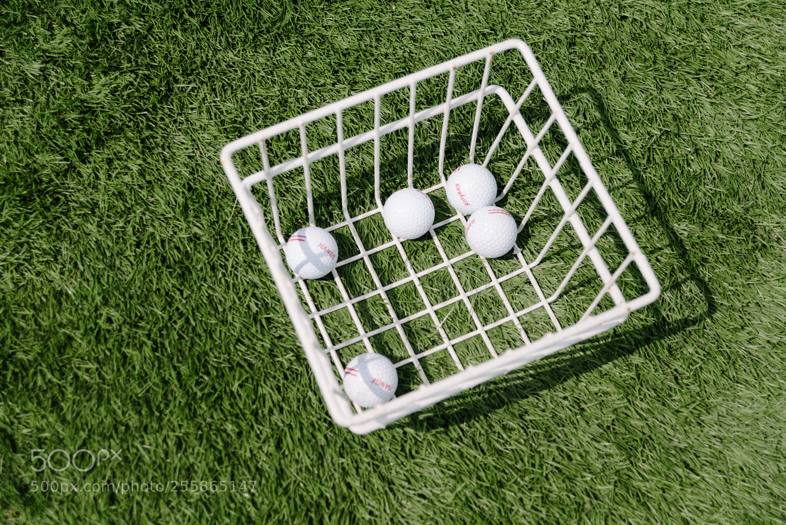 Nikon D610 sample photo. Play! photography