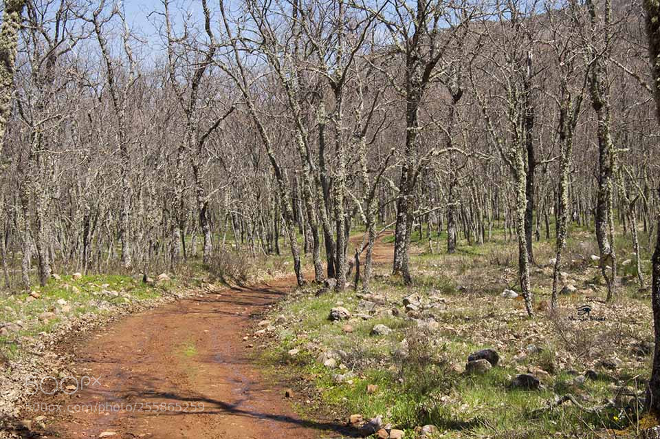 Nikon D40 sample photo. Caminos photography