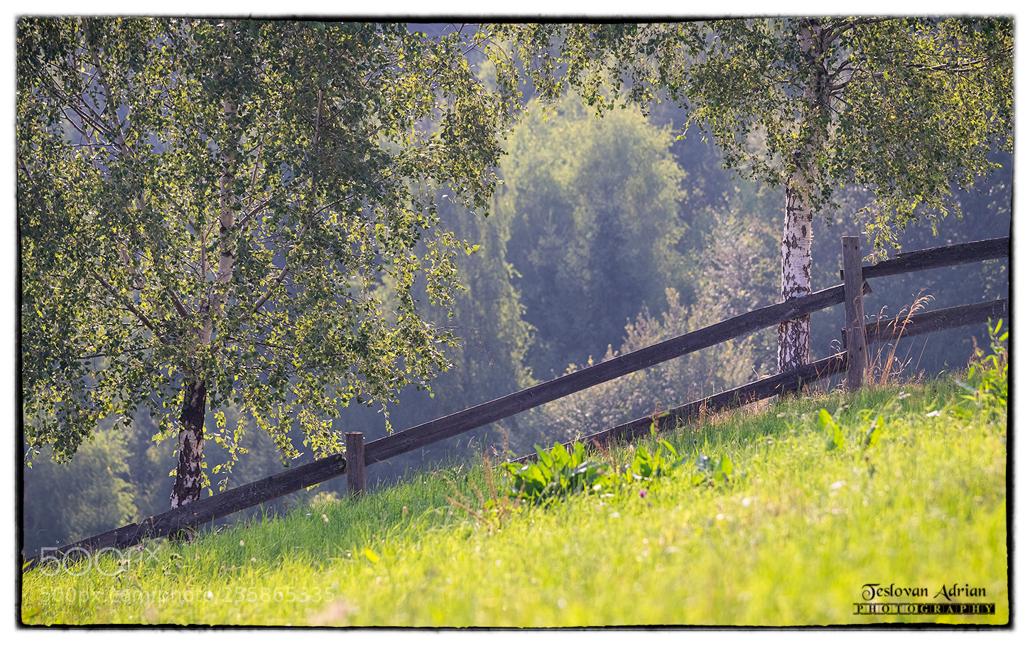 Canon EOS 7D Mark II sample photo. Limit photography